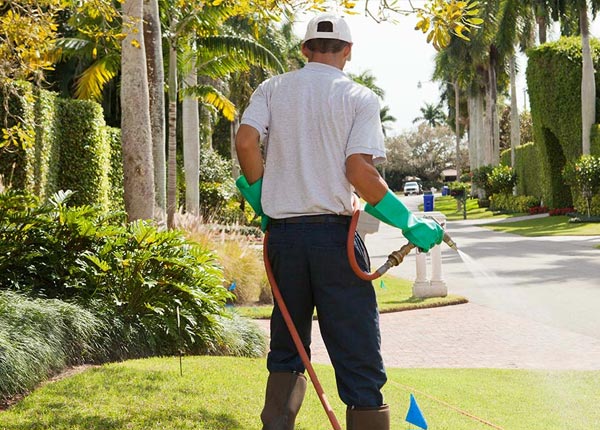 About Lake Leelanau MI Pest Control